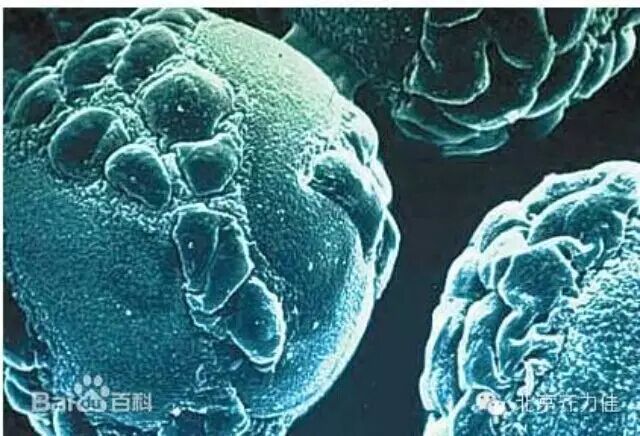 淺談非最終滅菌產品在除菌過濾方面存在的安全隱患